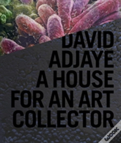 Capa do artigo 77e77 David Adjaye