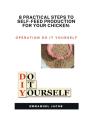 8 Practical Steps To Self-Feed Production For Your Chicken - Preview