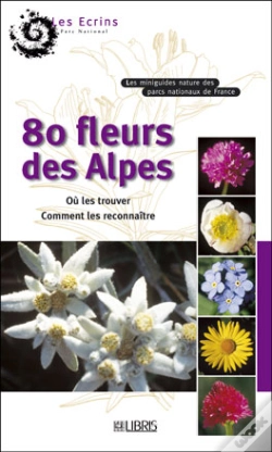 Capa do artigo 80 Fleurs Des Alpes