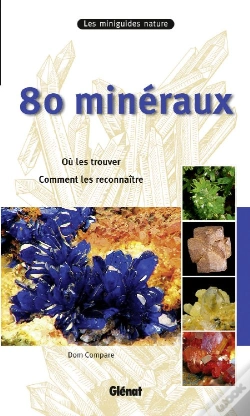 Capa do artigo 80 Minéraux