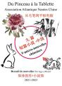 9 Micro Nouvelles Chinoises - Preview