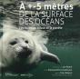 À +- 5 Mètres De La Surface Des Océans ; Les Nouveaux Enjeux De La Planète - Preview