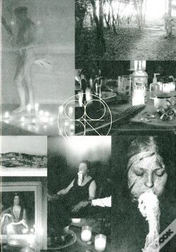 Capa do artigo A A. Bronson/Peter Hobbs