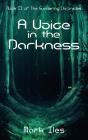 A A Voice In The Darkness - Preview