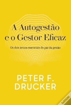 Capa do artigo A Autogestão e o Gestor Eficaz