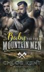 A Baby For The Mountain Men - Preview