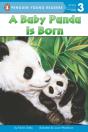 A Baby Panda Is Born - Preview