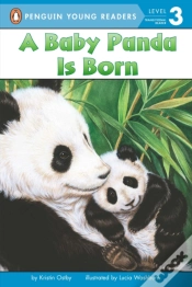 Capa do artigo A Baby Panda Is Born