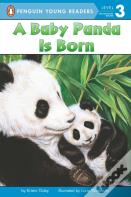 A Baby Panda Is Born