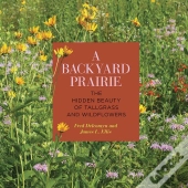 A Backyard Prairie