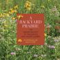 A Backyard Prairie - Preview