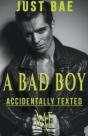 A Bad Boy Accidentally Texted Me - Preview
