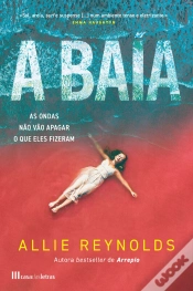 Capa do artigo A Baía