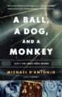 A Ball, A Dog, And A Monkey - Preview