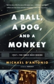 Capa do artigo A Ball, A Dog, And A Monkey