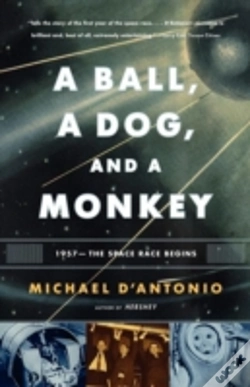 Capa do artigo A Ball, A Dog, And A Monkey
