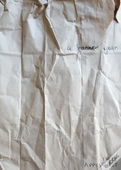 Capa do artigo A Banner Year.
