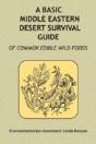 A Basic Middle Eastern Desert Survival Guide - Preview