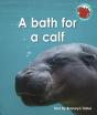 A Bath For A Calf - Preview