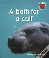 A Bath For A Calf
