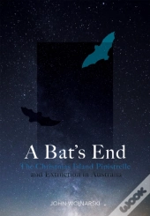 A Bat'S End