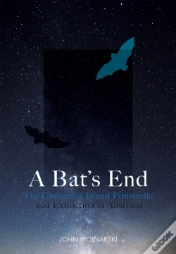 Capa do artigo A Bat'S End