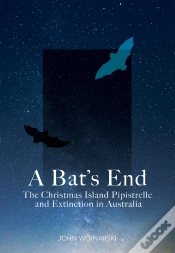 Capa do artigo A Bat