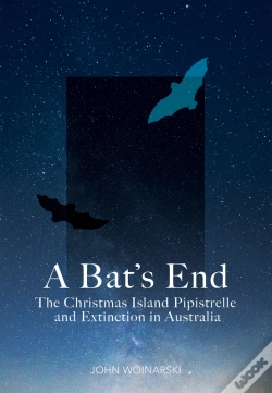 Capa do artigo A Bat'S End