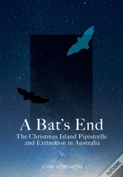 Capa do artigo A Bat'S End