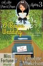 A Bayou Wedding - Preview
