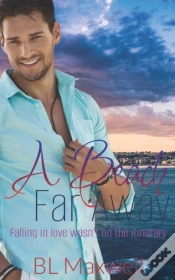 Capa do artigo A Beach Far Away