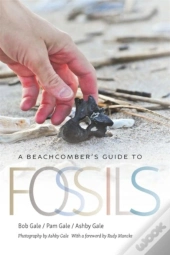 A Beachcomber'S Guide To Fossils