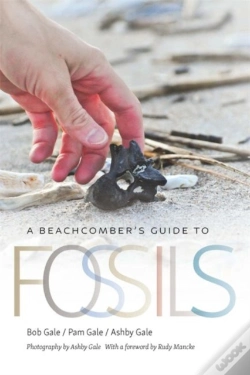 Capa do artigo A Beachcomber'S Guide To Fossils