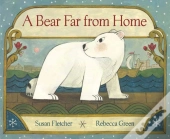 A Bear Far From Home