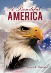 Capa do artigo A Beautiful America