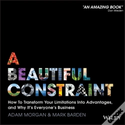 Capa do artigo A Beautiful Constraint