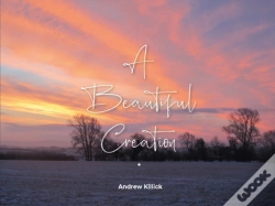 Capa do artigo A Beautiful Creation
