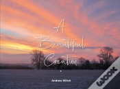 Capa do artigo A Beautiful Creation