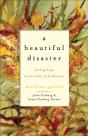 A Beautiful Disaster Â€“ Finding Hope In The Midst Of Brokenness - Preview