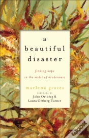 Capa do artigo A Beautiful Disaster Â€“ Finding Hope In The Midst Of Brokenness