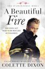 A Beautiful Fire - Preview