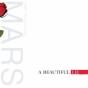 A Beautiful Lie - Vinil - Preview