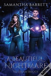 Capa do artigo A Beautiful Nightmare