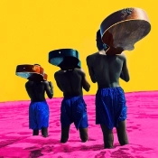 Capa do artigo A Beautiful Revolution (Part 2) - Vinil