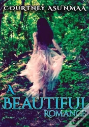 Capa do artigo A Beautiful Romance