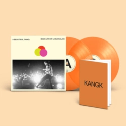 Capa do artigo A Beautiful Thing - Vinil