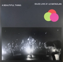 Capa do artigo A Beautiful Thing - Vinil