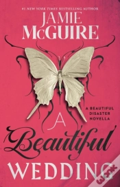 Capa do artigo A Beautiful Wedding