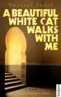 A Beautiful White Cat Walks With Me - Preview