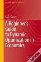 A Beginnerâ€™S Guide To Dynamic Optimization In Economics